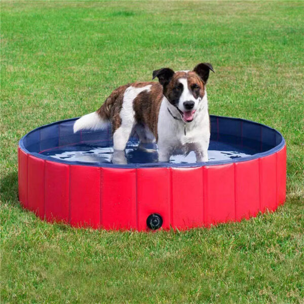 Collapsible Dog Pet Bathtub for Indoor & Outdoor Use, Comfortable for Large, Medium, and Small Pets - Image 7